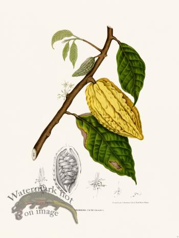 Horticulture of Java 34